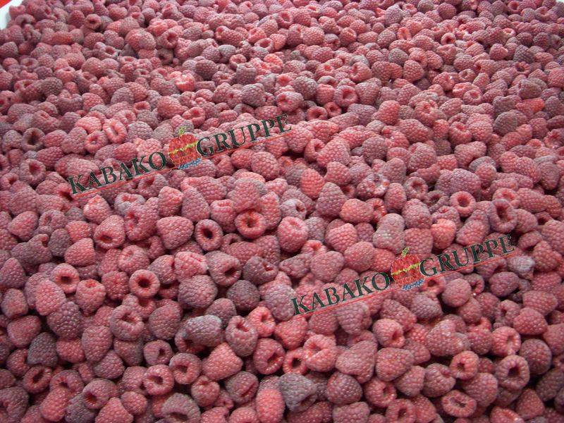 Frozen (IQF) Raspberries 29